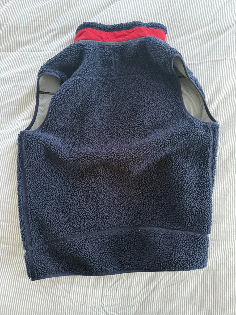 Patagonia Retro Pile Vest